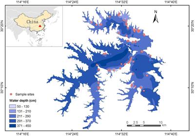 The Biodiversity–Biomass Relationship of Aquatic Macrophytes Is Regulated by Water Depth: A Case Study of a Shallow Mesotrophic Lake in China